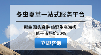 西藏那曲蟲草網一站式服務平臺